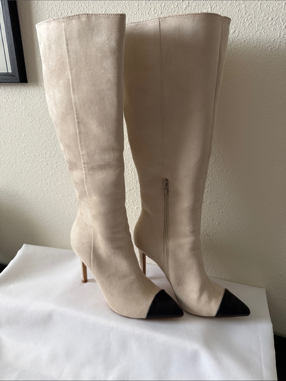 Express Knee-High Two-Tone Pointed Cap- Toe Boots - Cream with Black Cap
